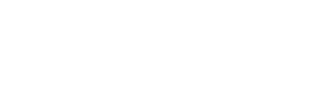 smart invest